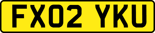 FX02YKU