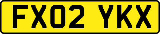 FX02YKX