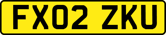 FX02ZKU