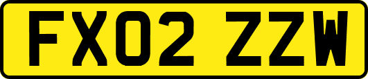 FX02ZZW