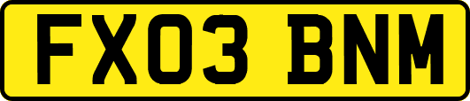 FX03BNM