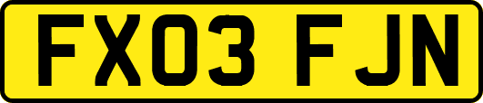 FX03FJN