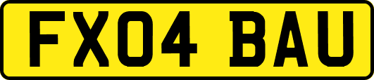FX04BAU