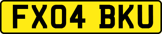 FX04BKU