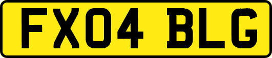 FX04BLG