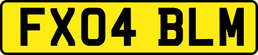 FX04BLM