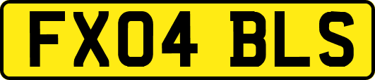 FX04BLS