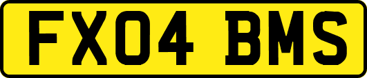FX04BMS