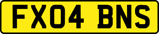 FX04BNS