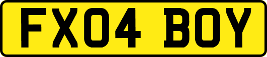 FX04BOY