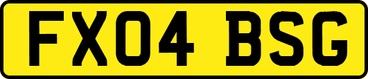 FX04BSG