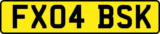 FX04BSK