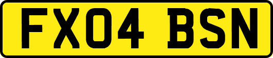 FX04BSN