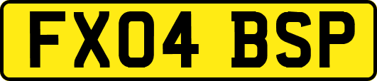 FX04BSP