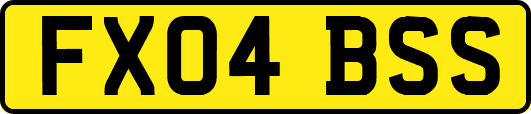 FX04BSS