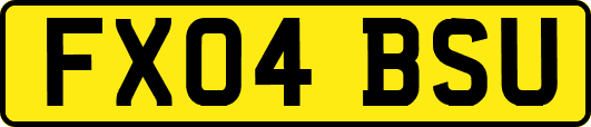 FX04BSU