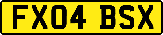 FX04BSX