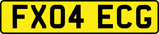 FX04ECG