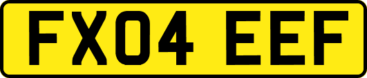 FX04EEF