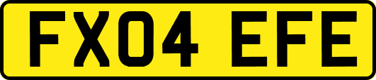 FX04EFE