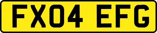 FX04EFG
