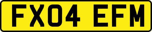 FX04EFM