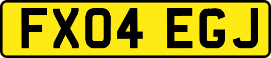FX04EGJ