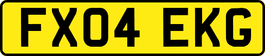 FX04EKG