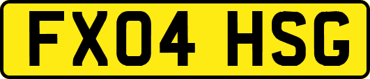 FX04HSG