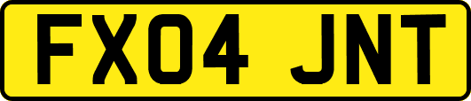 FX04JNT
