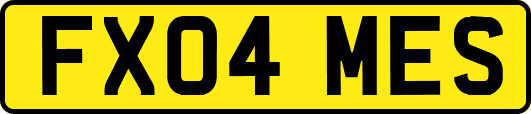 FX04MES