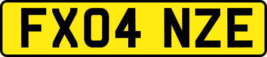 FX04NZE
