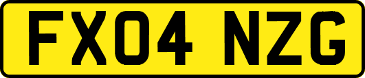 FX04NZG