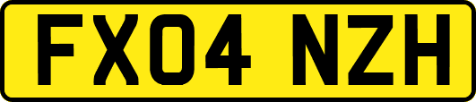 FX04NZH