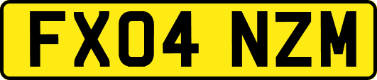 FX04NZM