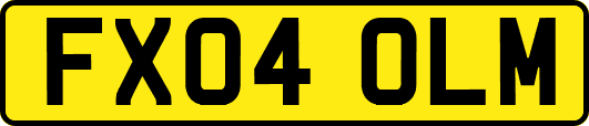 FX04OLM