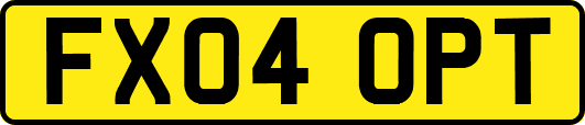 FX04OPT