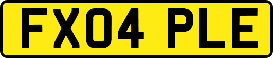 FX04PLE
