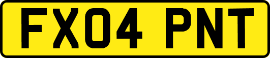 FX04PNT