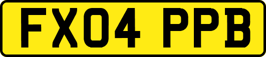 FX04PPB