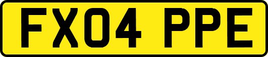 FX04PPE