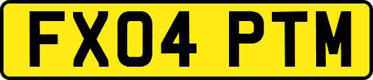 FX04PTM