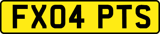 FX04PTS