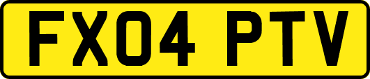 FX04PTV