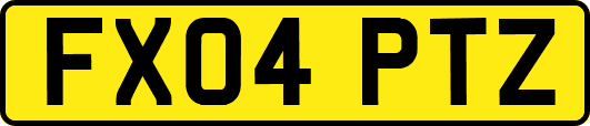 FX04PTZ