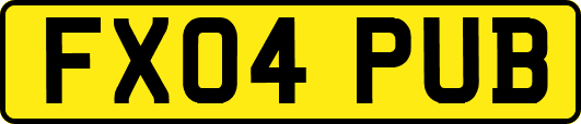 FX04PUB