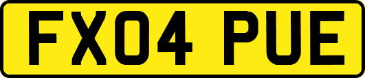 FX04PUE