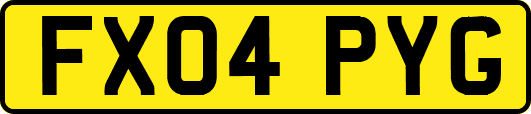FX04PYG