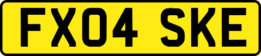 FX04SKE