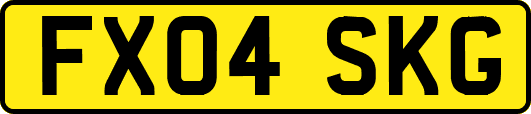 FX04SKG